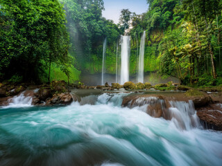 Fototapeta premium waterfall in the forest