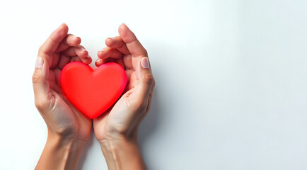 The hands of two people, a man and a woman, hold a heart as a symbol of love and trust. The concept of donation and Valentine's Day.