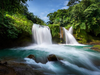 Fototapeta premium waterfall in the forest
