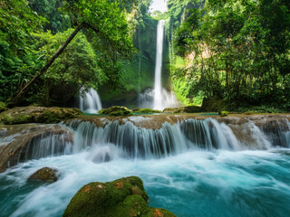 waterfall in the forest