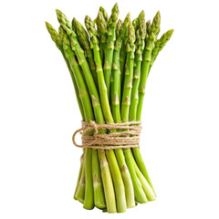 Fresh Asparagus Bundled with Natural Twine, isolated, transparent background, white background, no background