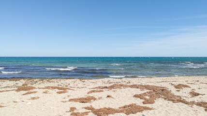 Trash and dry algae on the sea shore. Yellow sea sand covered with dry seaweed. Alicante, Spain, Costa Blanca landscape. Summer vacation on the wild beach. Blue sky and wavy water
