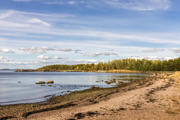 Sea pebbles, stones and seaweed on the seashore. Photo