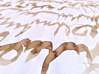 Ancient calligraphy on a paper
