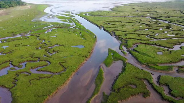 Aerial view of river tyne salt marsh with meandering patterns and tranquil waters, tynninghame, east lothian, united kingdom.