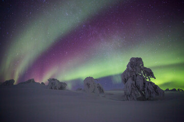 Northern lights in Pallas Yllastunturi National Park, Lapland, Finland