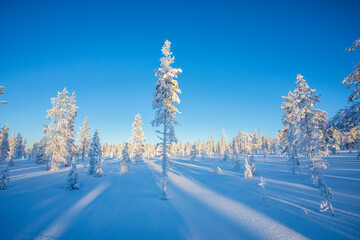 Winter landscape in Pallas Yllastunturi National Park, Lapland, Finland