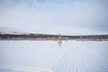 Ski expedition in Pallas Yllastunturi National Park , Lapland, Finland