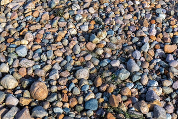 Sea pebbles, stones on the shore. Texture. Photo