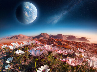 imaginary view of another planet