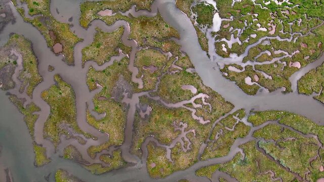Aerial view of river tyne salt marsh with beautiful patterns and textures, Tynninghame, Scotland, United Kingdom.