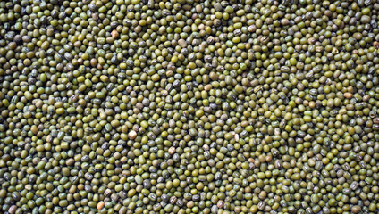 mung beans