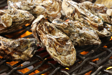 Korean seafood food. grill oysters