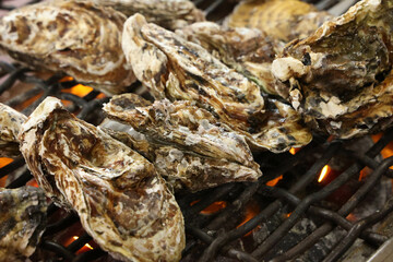 Korean seafood food. grill oysters
