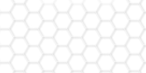 Abstract white background with hexagon and hexagonal background. Luxury white pattern with hexagons. abstract 3d hexagonal background with shadow. 3D futuristic abstract honeycomb mosaic background.