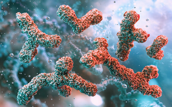Probiotics: Bifidobacterium, lactobacillus, streptococcus thermophilus, enterococcus. Gut health, digestion, immunity, intestinal flora. Digestive nutrient absorption, bifido probiotic bacteria. 3D