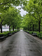 Obraz premium Serene Green Riverside Park: Scenic Walkways Embracing Natural Beauty by the Water