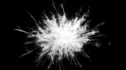 Intricate White Firework Explosion with Striking Spark Details on Black Backdrop