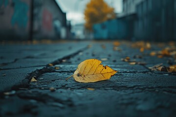 Leaf on Street