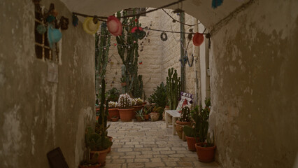 Charmingly rustic alleyway in polignano a mare, italy, adorned with potted cacti and festive...