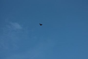 2024.02.11 Kristiansund og frei 