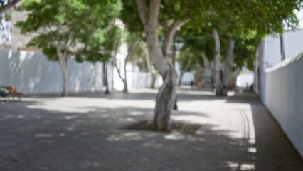 Defocused view of a serene outdoor walkway in lanzarote, spain, with blurred trees and shadows from the bright sun casting a natural bokeh effect.