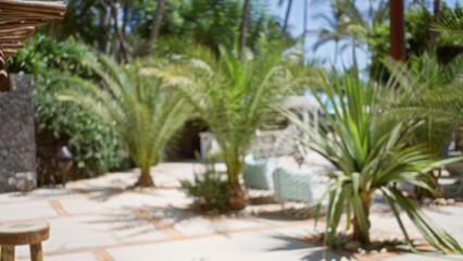 Blurred tropical resort background featuring green palm trees, lush vegetation, and defocused lounge chairs under the sun