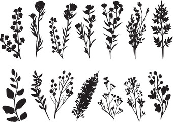 Set plants. Hand drawn vector illustration