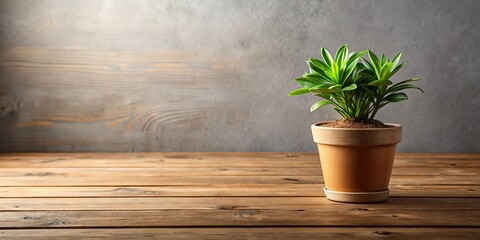 A potted plant sitting on a wooden table with its pot slightly tilted., potting soil, water in the pot, living room decor, terrarium, indoor garden