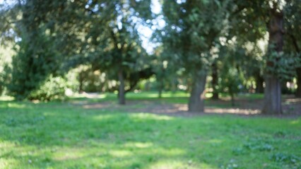 Blurred view of lush villa borghese gardens in rome, featuring defocused trees and greenery under bright sunlight, creating a serene outdoor atmosphere.