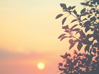 Serene sunset with vibrant colors and soft silhouette of leaves, creating a peaceful and calming atmosphere in a natural setting.