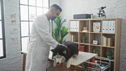 A handsome hispanic man in white coat examines a husky at a veterinary clinic with modern interior. © Krakenimages.com