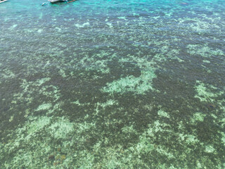  아름다운 해변, 필리핀 보홀 팡라오섬의 알로나 비치 풍경