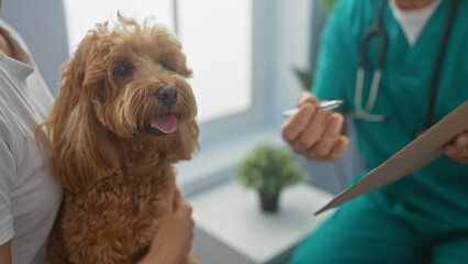 A veterinarian consulting with a poodle in a clinic, capturing the professional interaction between man, dog, and healthcare.
