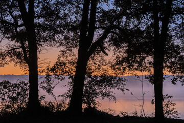 Autumn landscape at dawn of silhouetted trees on the shoreline of Gun Lake, Yankee Springs State Park, Michigan, USA