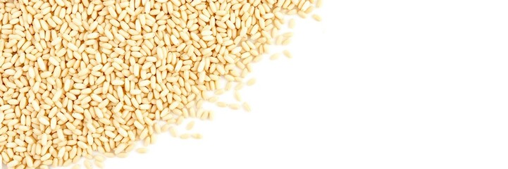 Closeup of emmer wheat grains isolated on white background, cooking, grains, ancient grain