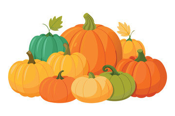 Fototapeta premium Pumpkins collection. Autumn vegetable, fall gourd, various type, shape, size, color. Seasonal fruit, Halloween and Thanksgiving decoration. Flat vector illustration isolated on white background 
