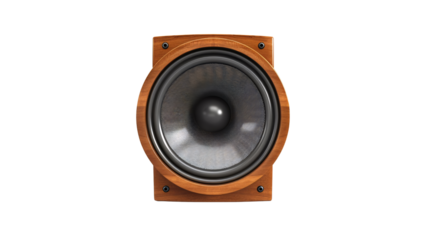 Wooden Speaker with Large Round Driver