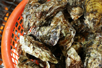 Korean seafood food. Fresh oysters in a basket