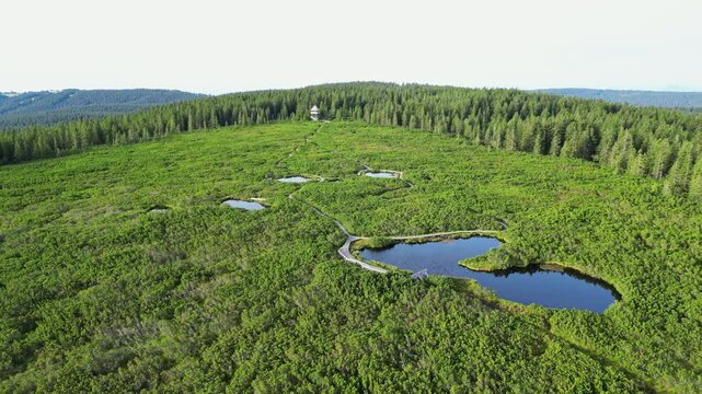 Aerial view of a tranquil lake surrounded by lush forest and wetland, Rogla, Slovenia.