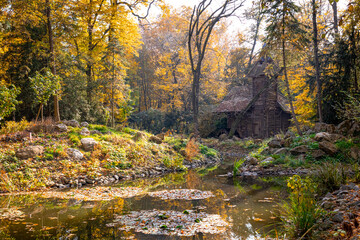 A photo of a small stream in a forest with a small cabin