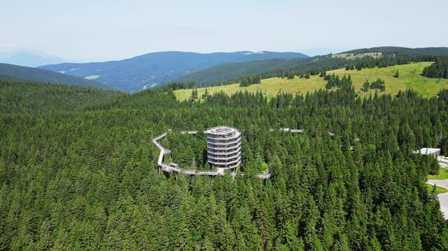 Aerial view of a serene treetop trail and view tower amidst a lush forest, Rogla, Slovenia.
