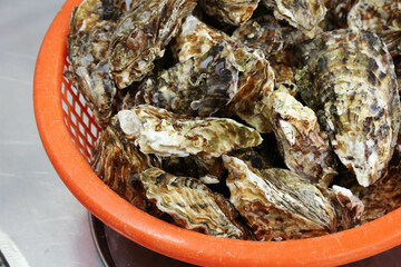 Korean seafood food. Fresh oysters in a basket