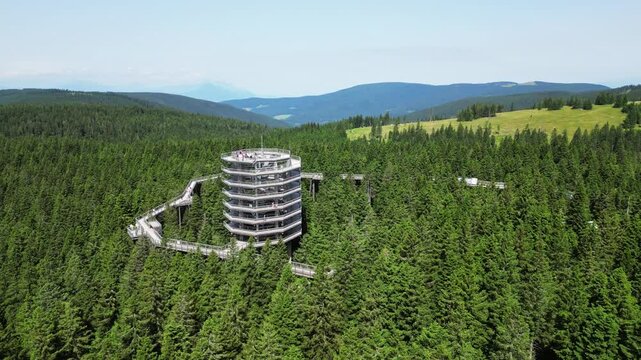 Aerial view of scenic treetop trail and view tower surrounded by lush forest, Rogla, Slovenia.