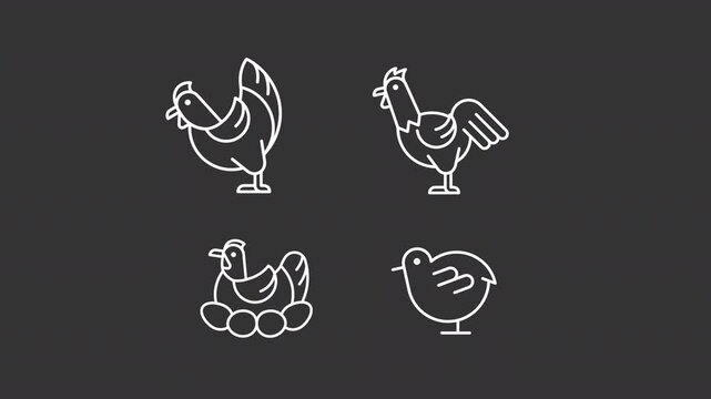 Animated domestic birds white icons. Farm chickens line animation library. Eggs nest, livestock. Farming, nature. Isolated illustrations on dark background. Transition alpha. HD video. Icon pack