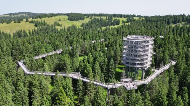 Aerial view of a beautiful treetop trail and view tower amidst lush forest, Rogla, Slovenia.