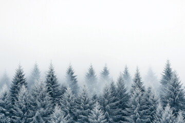 White sky, dense snow falling, dense pine forest in the distance, white background, foggy, heavy snowfall, minimalist, simple