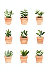 Fototapeta premium A collection of nine artistic plant illustrations in terracotta pots, showcasing a variety of green foliage for a fresh, vibrant decor.