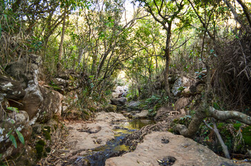 Small cascade  in the mountains of Minas Gerais, Brazil. The name is Serra da Calçada and it is next to the city of Belo Horizonte