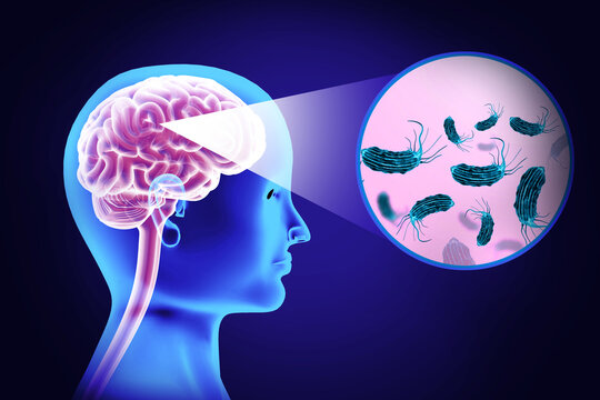 Visual concept of deadly brain-eating amoeba infection. 3d illustration